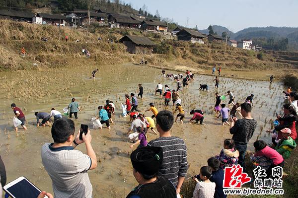 （新春走基层）苗家“辣妹子”张莉的“新年计划”